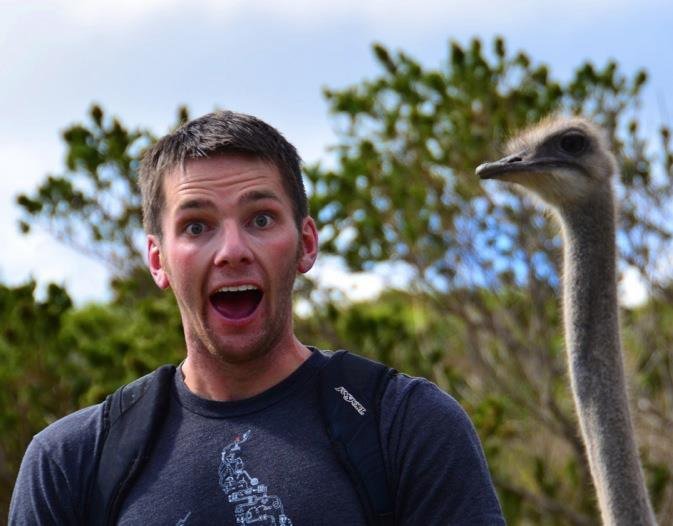 Steve hanging out with an ostrich.