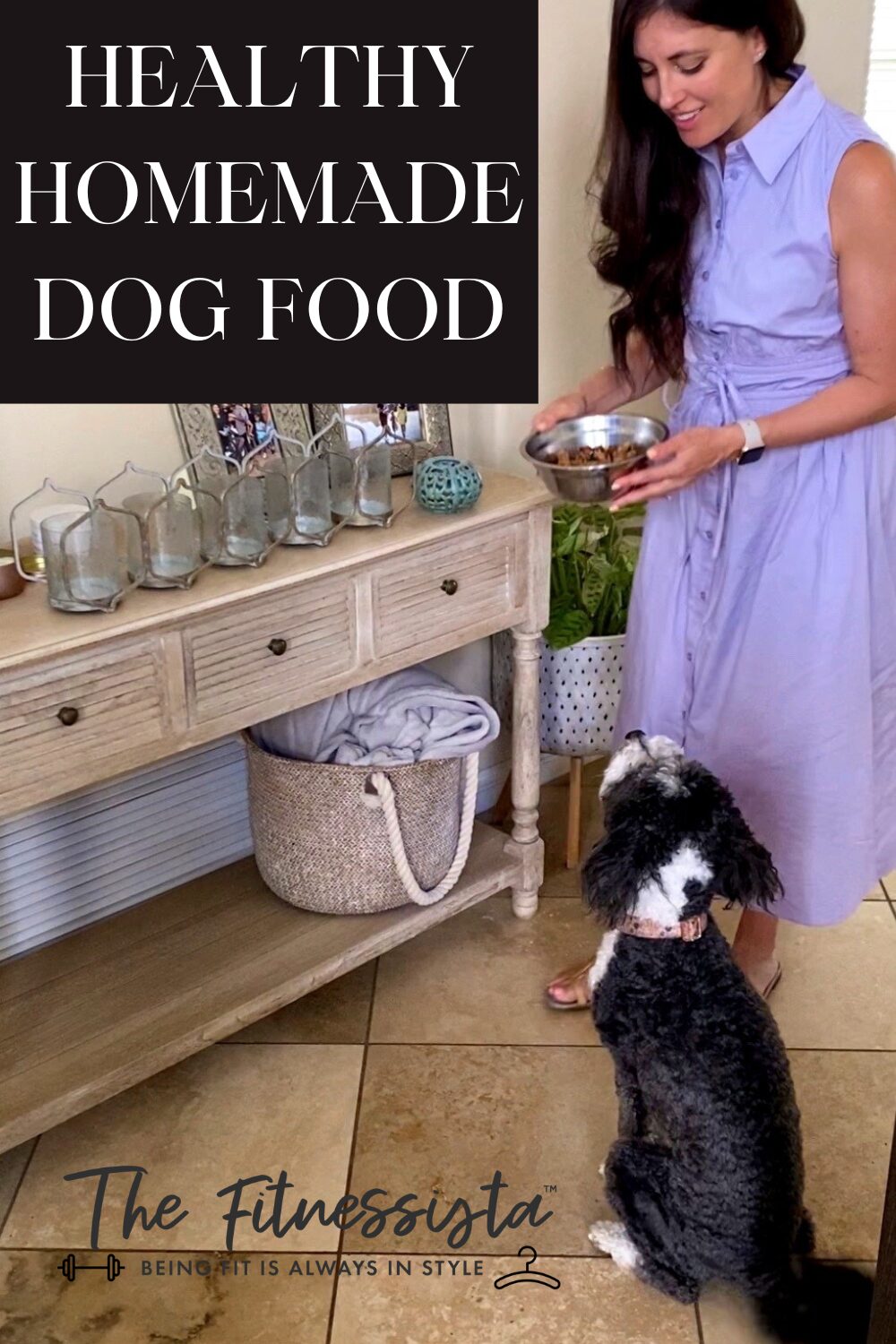 Healthy homemade dog food